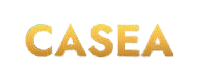 casea1